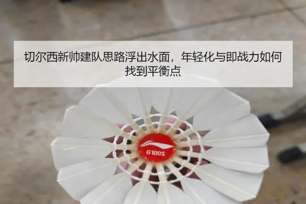 切尔西新帅建队思路浮出水面，年轻化与即战力如何找到平衡点